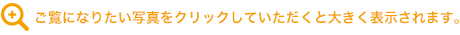 ご覧になりたい写真をクリックしていただくと大きく表示されます。