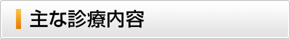 主な診療内容